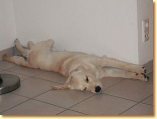 Bild 033.jpg